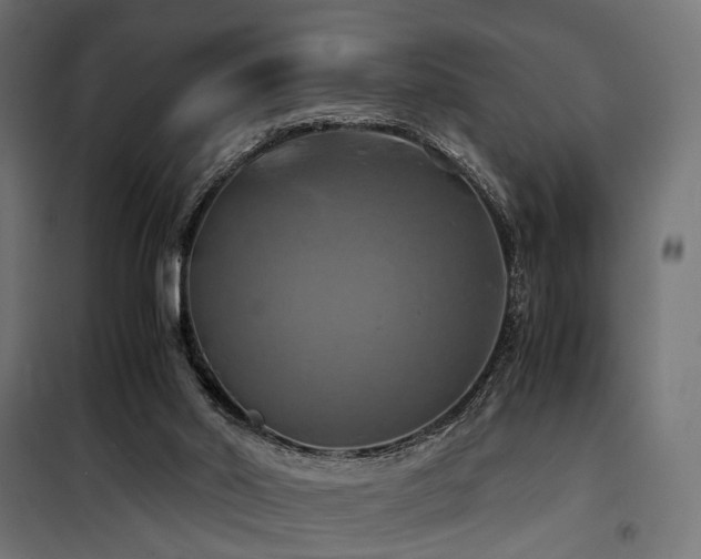 X0000100760014200806191218