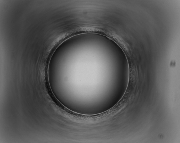 X0000100760015200806191218