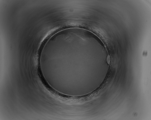 X0000100760016200806191218