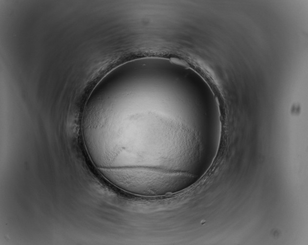 X0000100760017200806191218