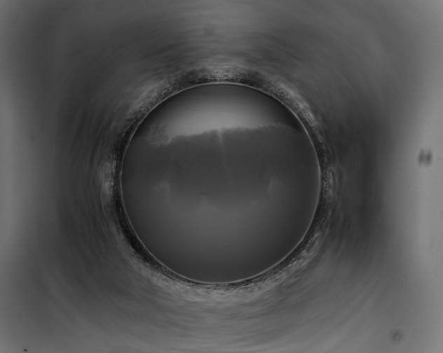 X0000100760018200806191218