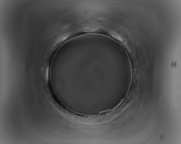 X0000100760019200806191218