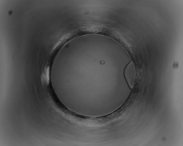 X0000100760020200806191218