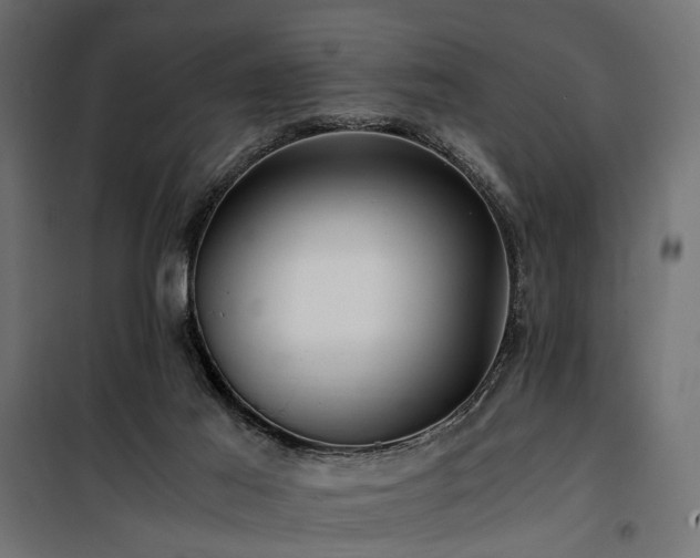 X0000100760021200806191218