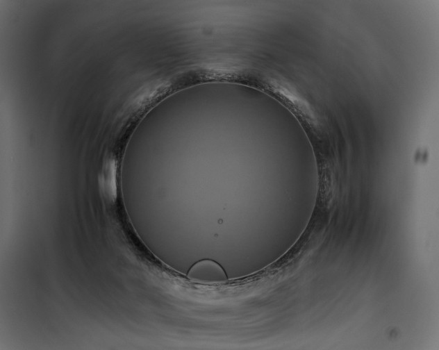 X0000100760022200806191218