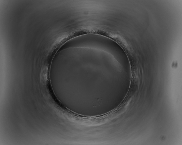 X0000100760023200806191218