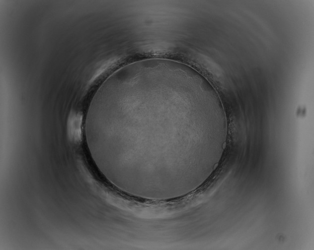 X0000100760024200806191218