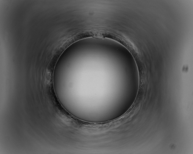 X0000100760025200806191218