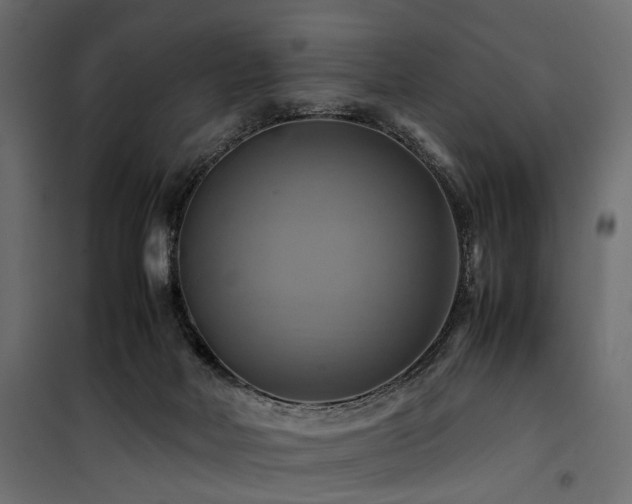 X0000100760026200806191218