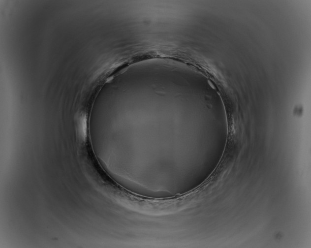 X0000100760027200806191218