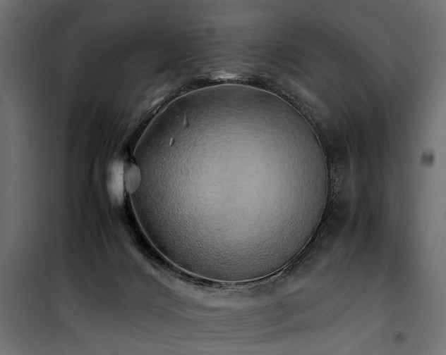 X0000100760028200806191218