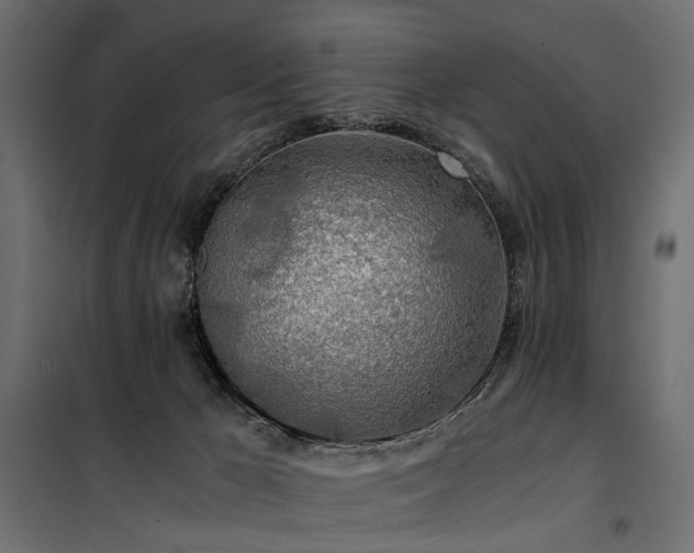 X0000100760029200806191218