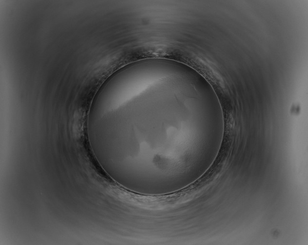 X0000100760030200806191218