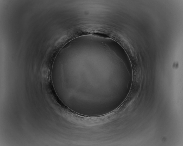 X0000100760031200806191218