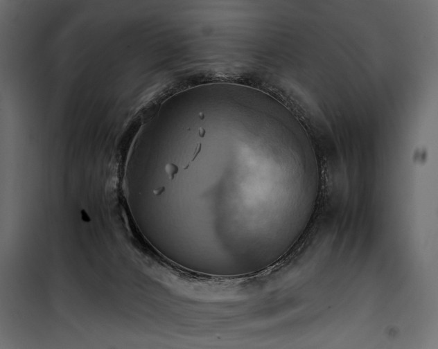 X0000100760032200806191218