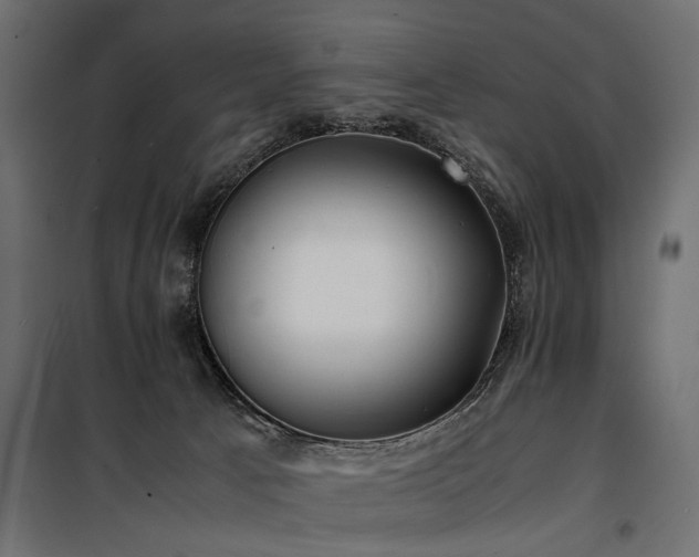 X0000100760033200806191218