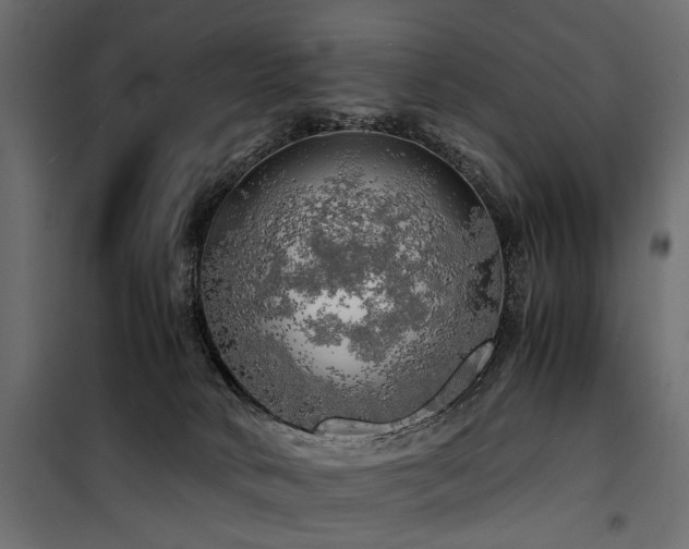 X0000100760034200806191218