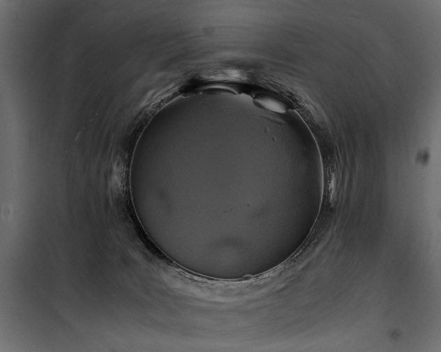 X0000100760035200806191218