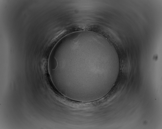 X0000100760036200806191218