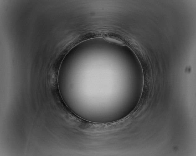 X0000100760037200806191218