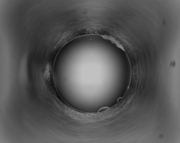 X0000100760038200806191218