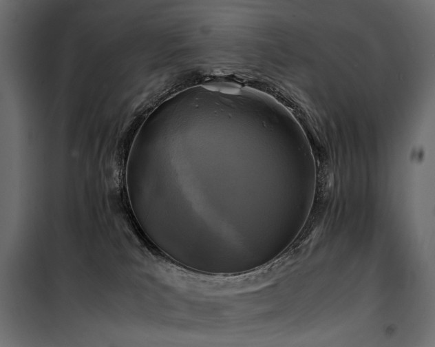 X0000100760039200806191218