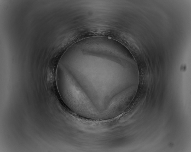 X0000100760040200806191218