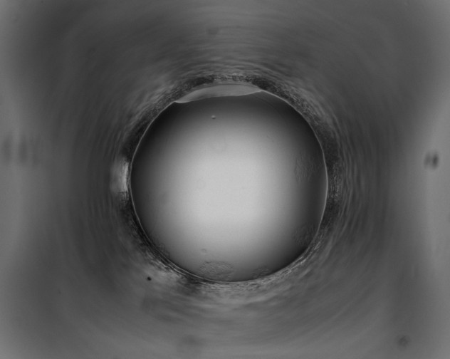 X0000100760041200806191218