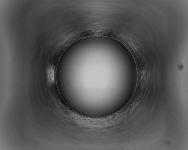 X0000100760042200806191218