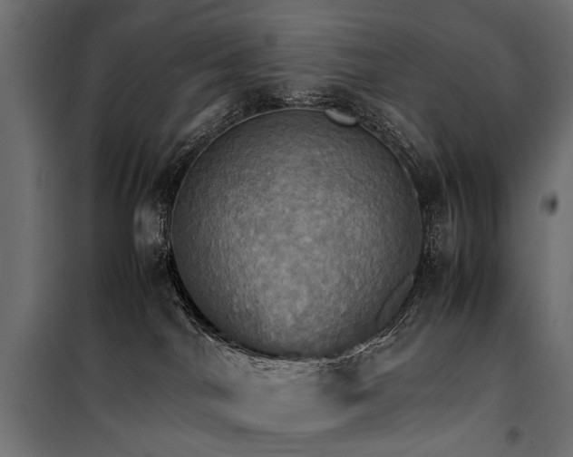 X0000100760044200806191218