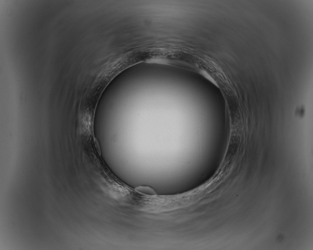 X0000100760045200806191218