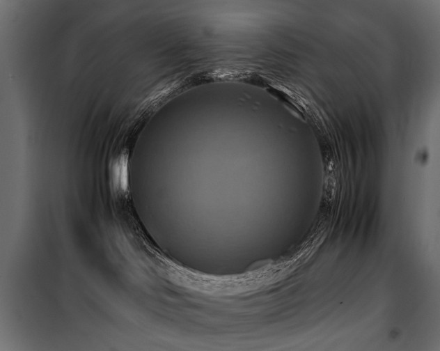 X0000100760046200806191218