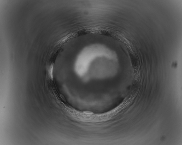 X0000100760047200806191218