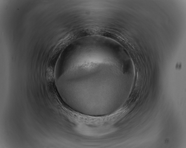 X0000100760048200806191218