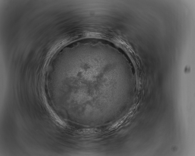 X0000100760049200806191217