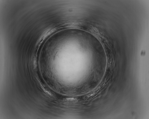 X0000100760050200806191217