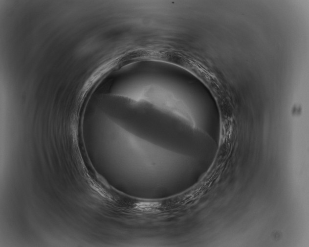 X0000100760051200806191217