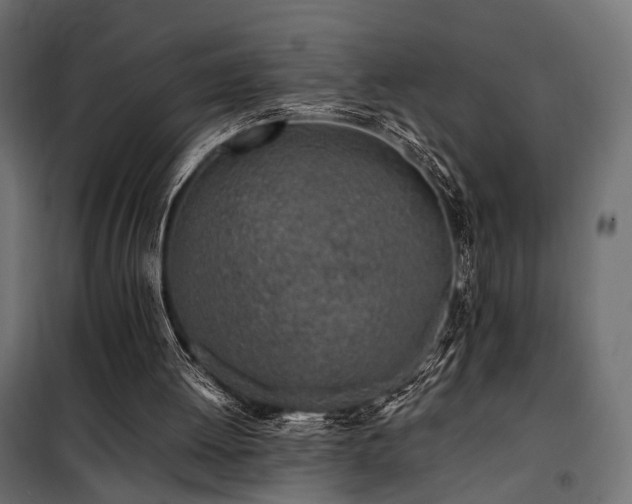 X0000100760052200806191217