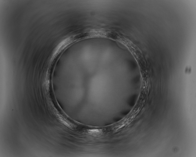 X0000100760053200806191217