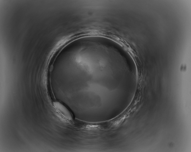 X0000100760055200806191217