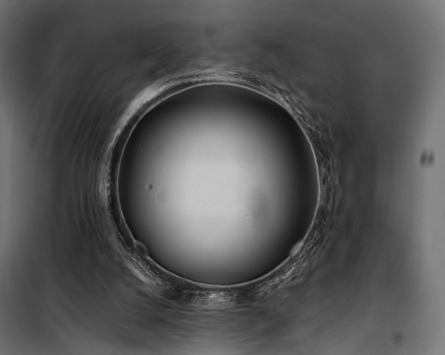 X0000100760056200806191217