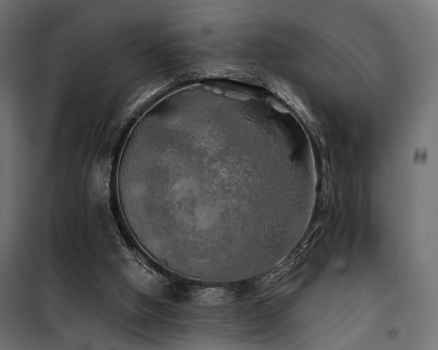 X0000100760058200806191217