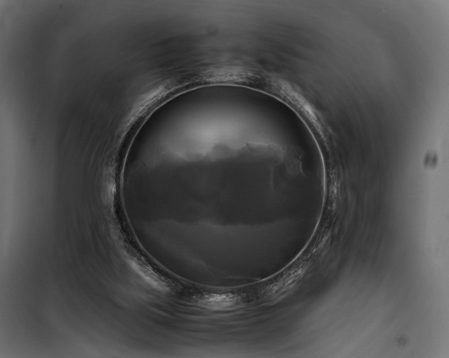 X0000100760059200806191217