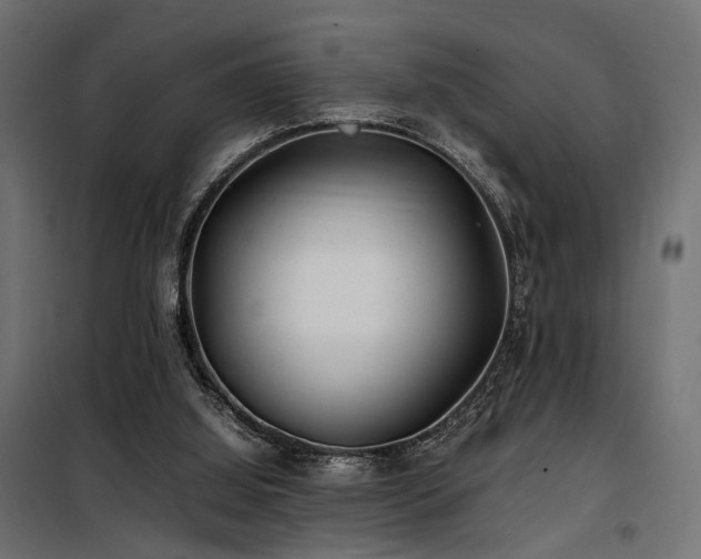 X0000100760060200806191217