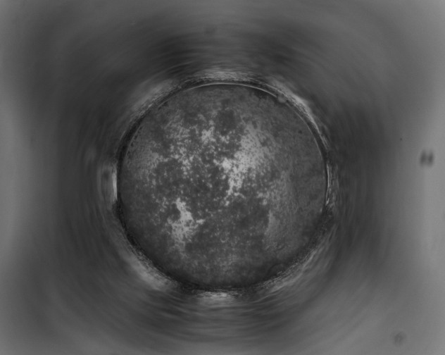 X0000100760061200806191217