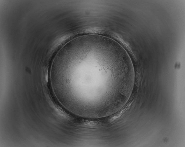 X0000100760062200806191217