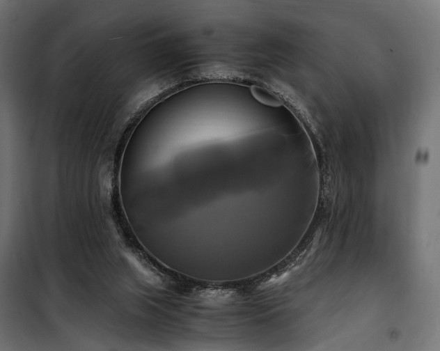 X0000100760063200806191217