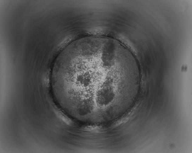 X0000100760065200806191217