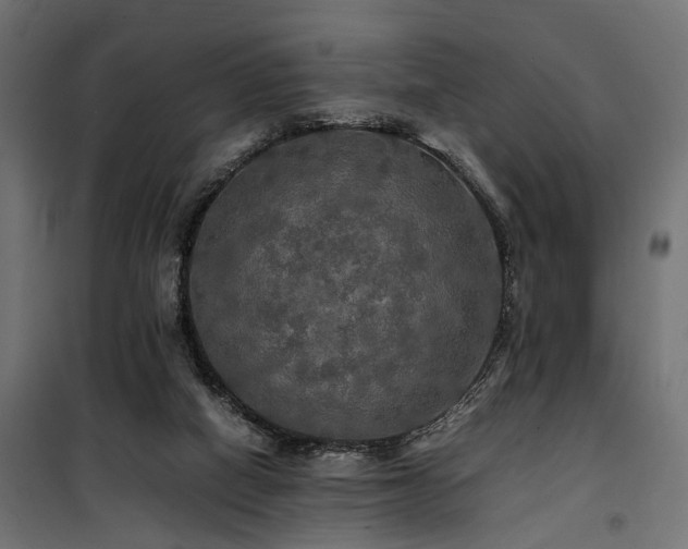 X0000100760066200806191217