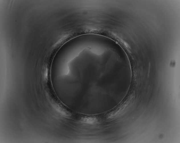 X0000100760067200806191217